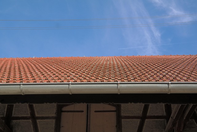 roof exterior with clean gutters and shingles in good condition